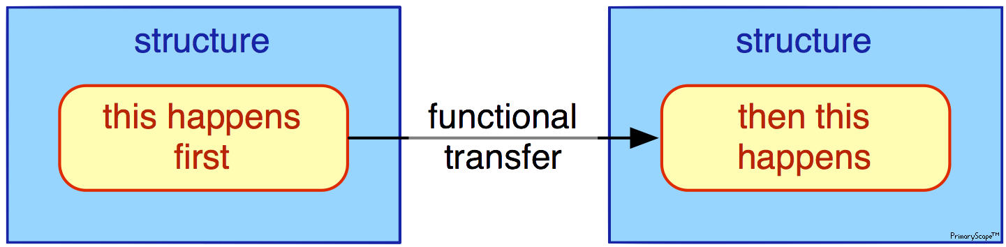Functional Transfer